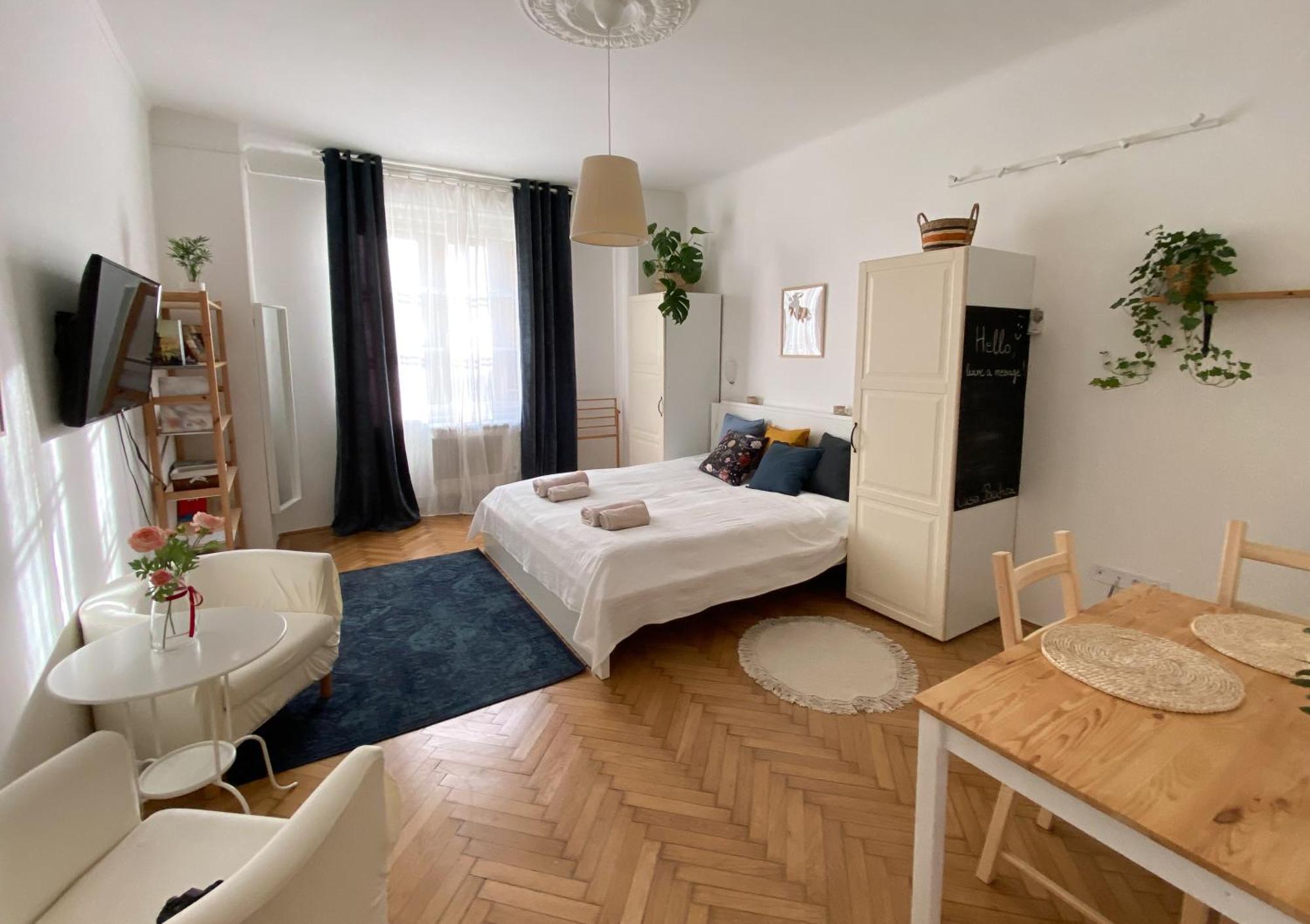 Quiet Apartment Near Buda Castle بودابست المظهر الخارجي الصورة